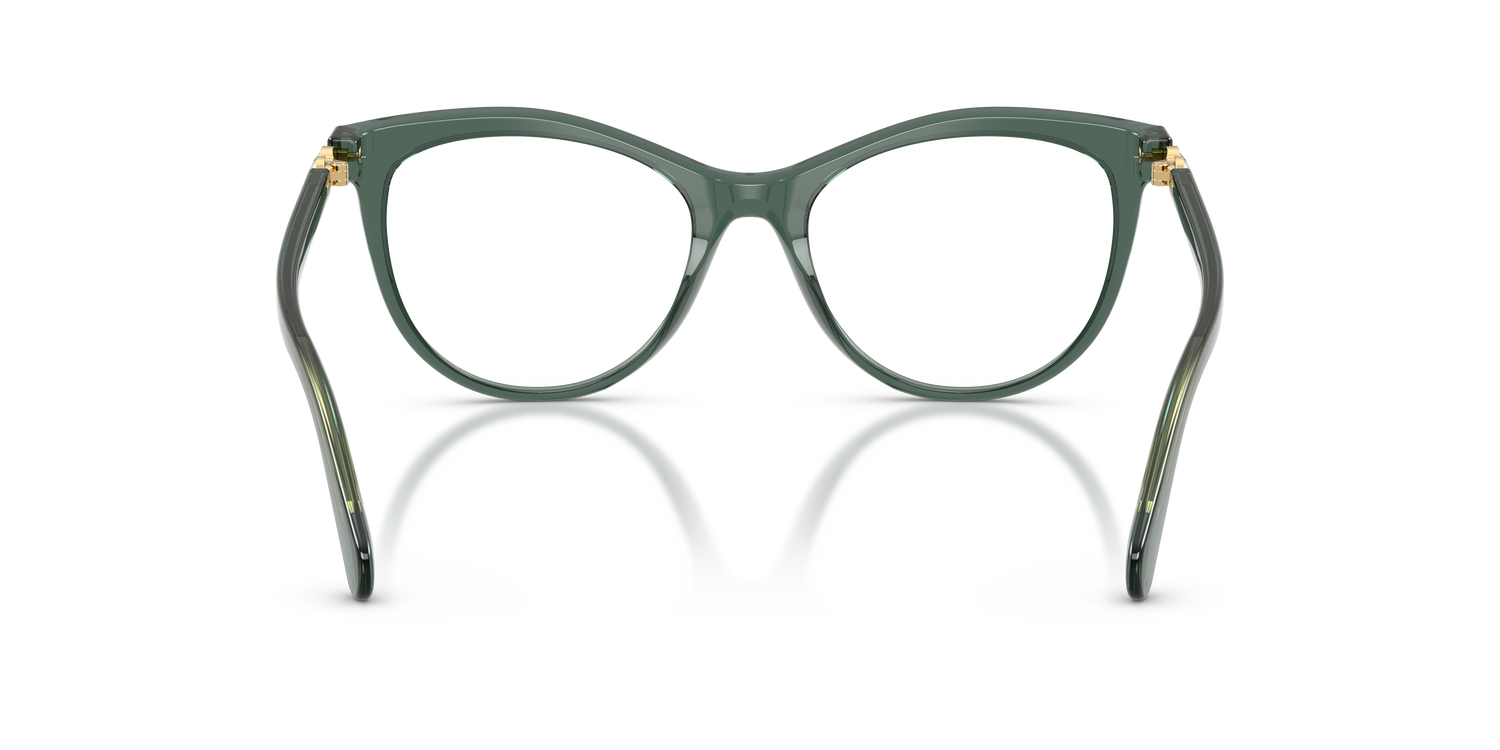 SWAROVSKI SK2064 1043 51