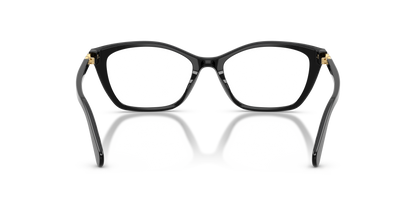 SWAROVSKI SK2065 1001 54