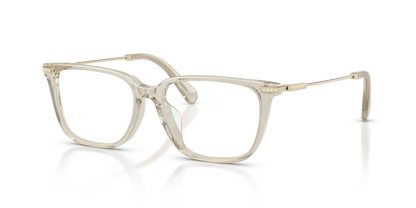 SWAROVSKI SK2067D 3003 53