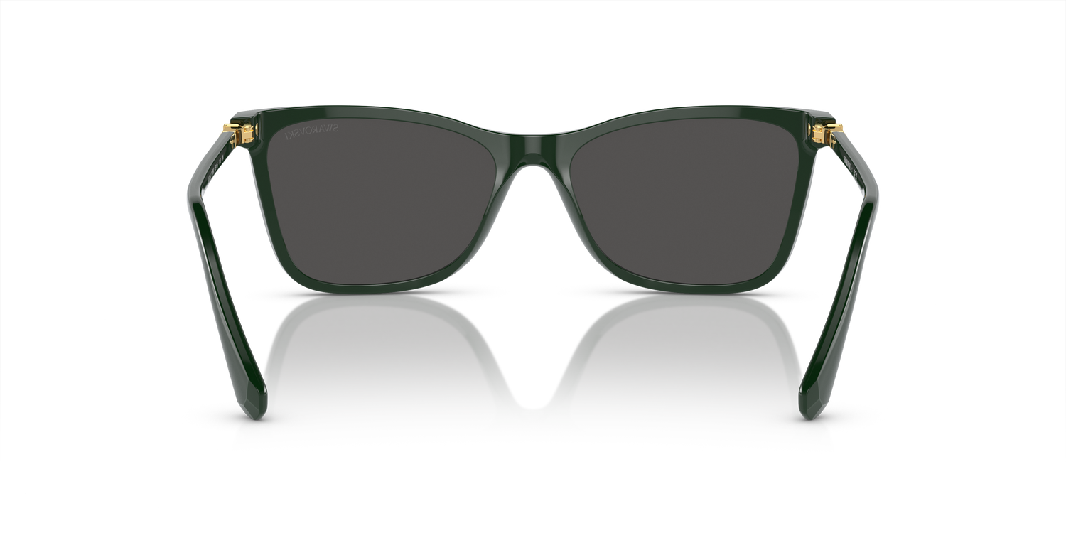 SWAROVSKI SK6004 102687 55