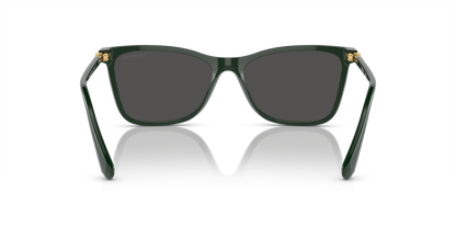 SWAROVSKI SK6004 102687 55