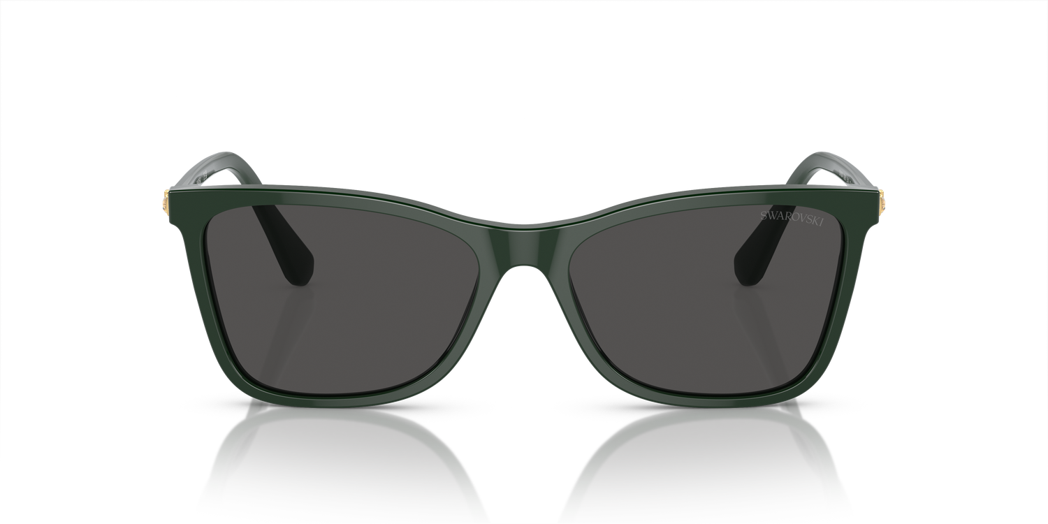 SWAROVSKI SK6004 102687 55