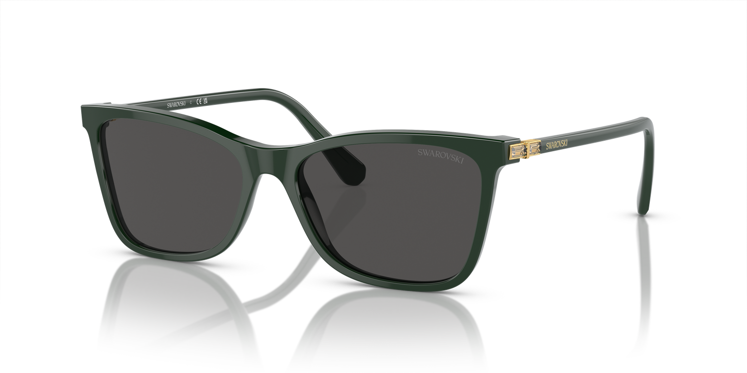 SWAROVSKI SK6004 102687 55