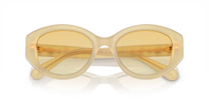 SWAROVSKI SK6005 10232Q 53