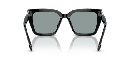 SWAROVSKI SK6013 1010/1 54