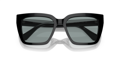 SWAROVSKI SK6013 1010/1 54