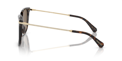 SWAROVSKI SK6015D 100273 55