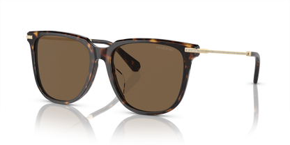 SWAROVSKI SK6015D 100273 55