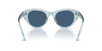 SWAROVSKI SK6025 106555 47