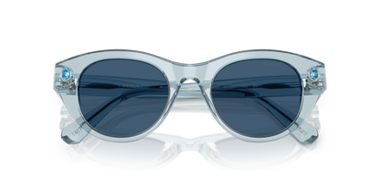 SWAROVSKI SK6025 106555 47