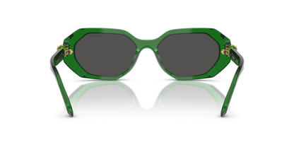 SWAROVSKI SK6028 106487 54