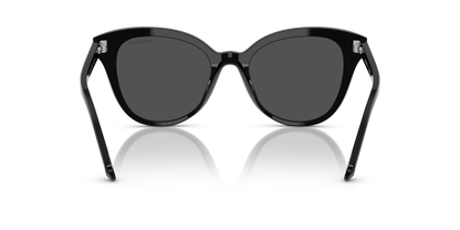 SWAROVSKI SK6031 100187 53