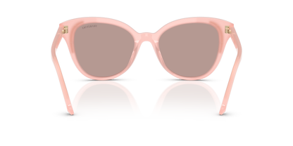 SWAROVSKI SK6031 10317N 53