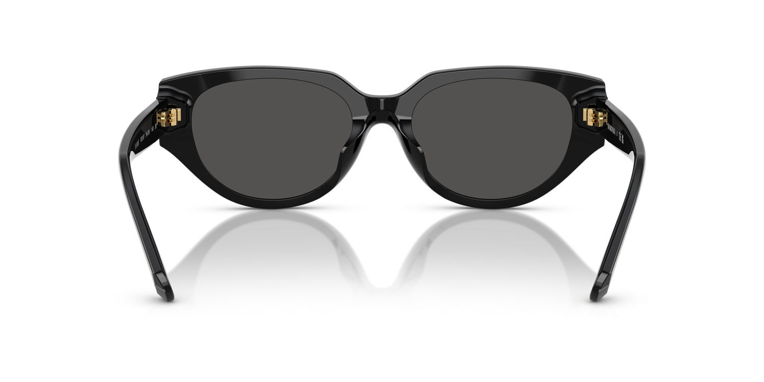 SWAROVSKI SK6035D 100187 54