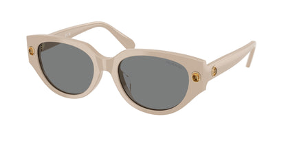 SWAROVSKI SK6035D 106887 54