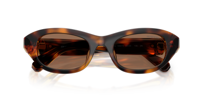 SWAROVSKI SK6036U 100273 50