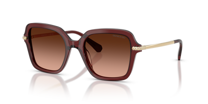 SWAROVSKI SK6040 10735M 50