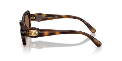 SWAROVSKI SK6050 100273 52