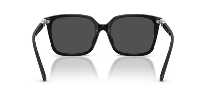 SWAROVSKI SK6053D 103887 55