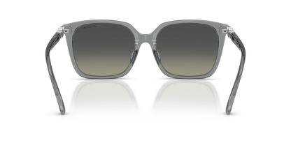 SWAROVSKI SK6053D 106211 55