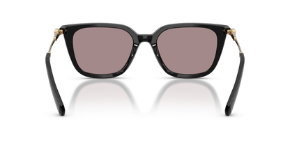 SWAROVSKI SK6054D 1001LA 63