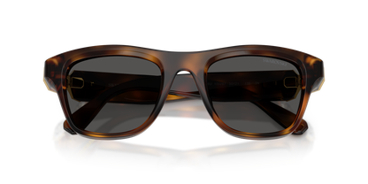 SWAROVSKI SK6056U 100287 50