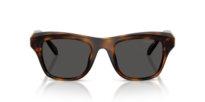 SWAROVSKI SK6056U 100287 50