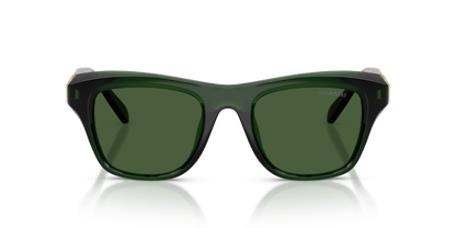 SWAROVSKI SK6056U 108171 50