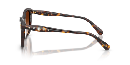 SWAROVSKI SK6063 100274 54