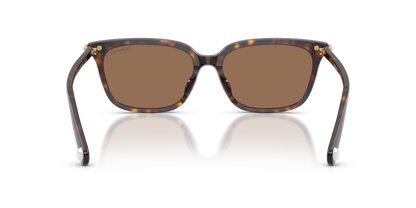 SWAROVSKI SK6064D 100273 56