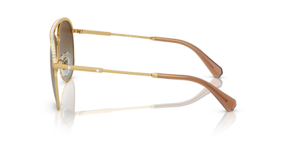 SWAROVSKI SK7005 4004T5 61