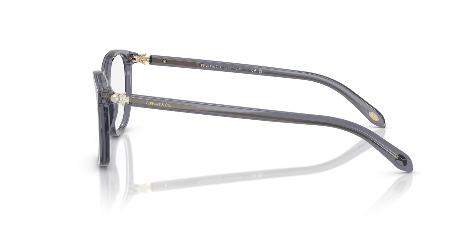 TIFFANY TF2109HB 8405 53