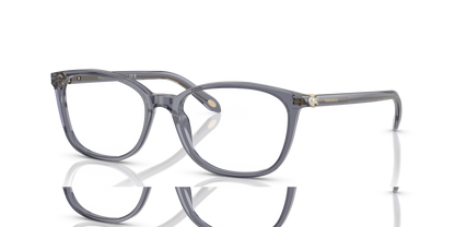 TIFFANY TF2109HB 8405 51