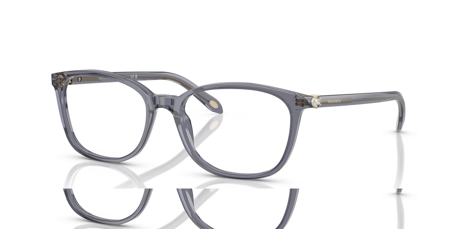 TIFFANY TF2109HB 8405 53