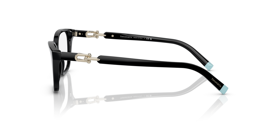 TIFFANY TF2229 8001 55