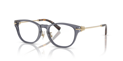 TIFFANY TF2237D 8405 48