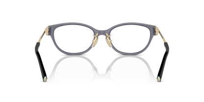 TIFFANY TF2252D 8405 51