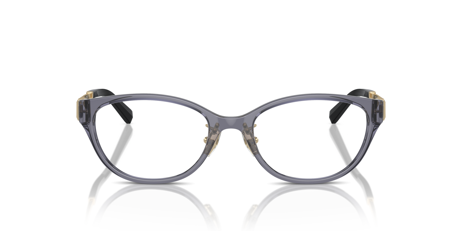 TIFFANY TF2252D 8405 51