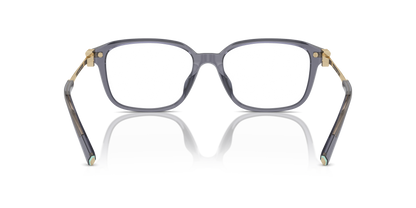 TIFFANY TF2253D 8405 54