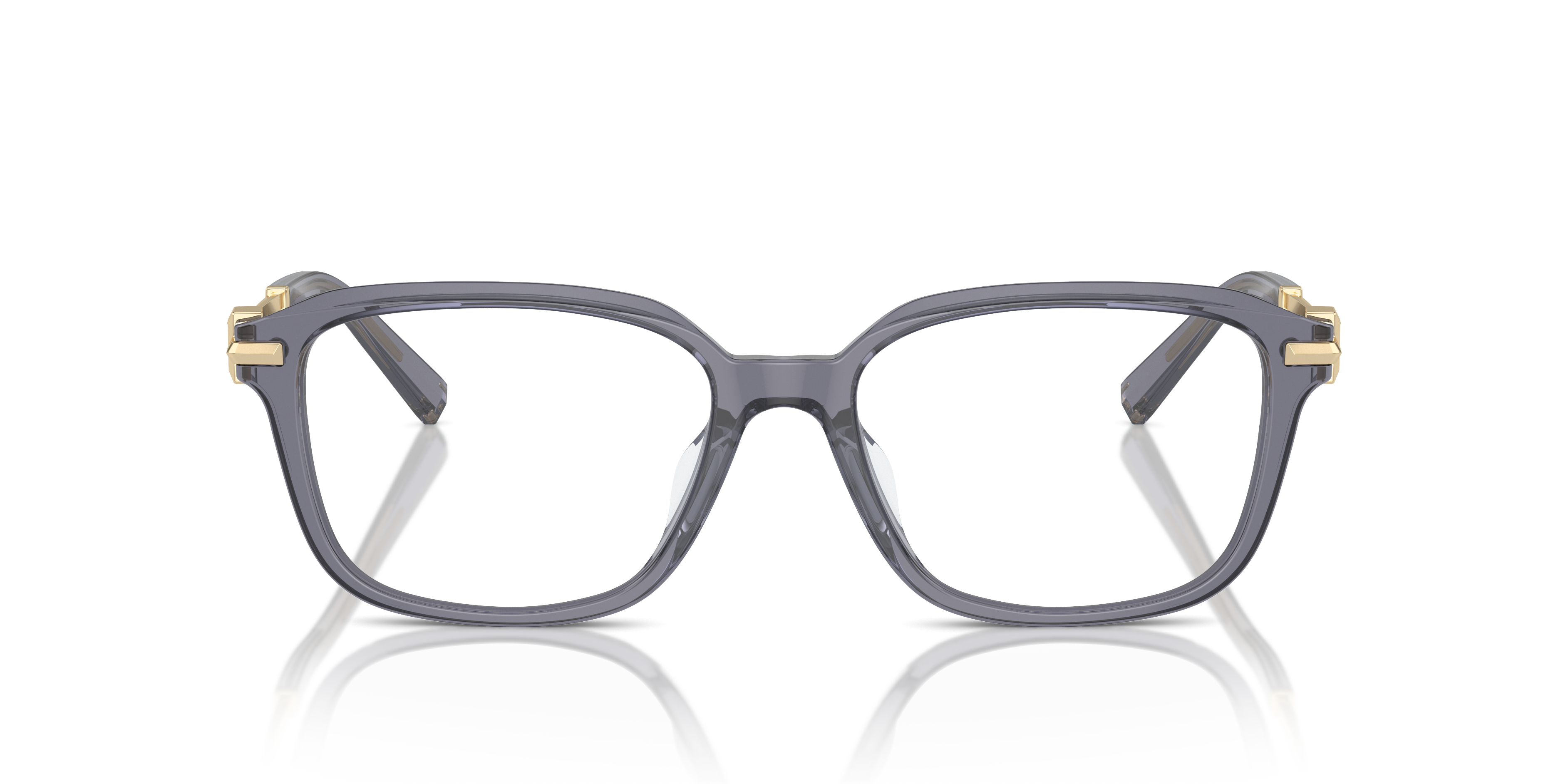 TIFFANY TF2253D 8405 54