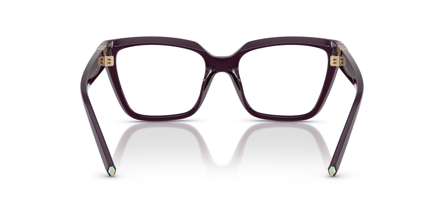 TIFFANY TF2257BU 8427 54