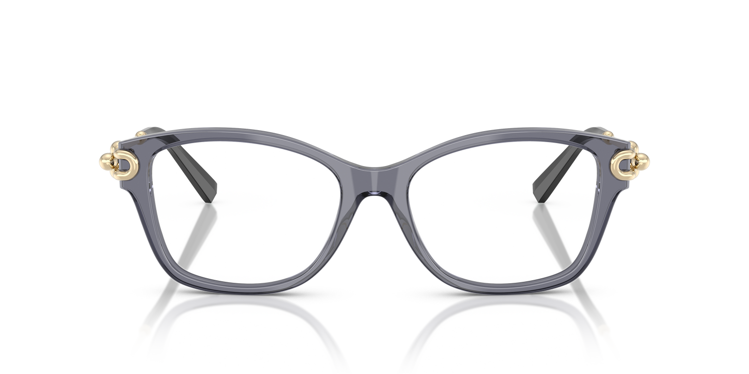 TIFFANY TF2266 8405 51