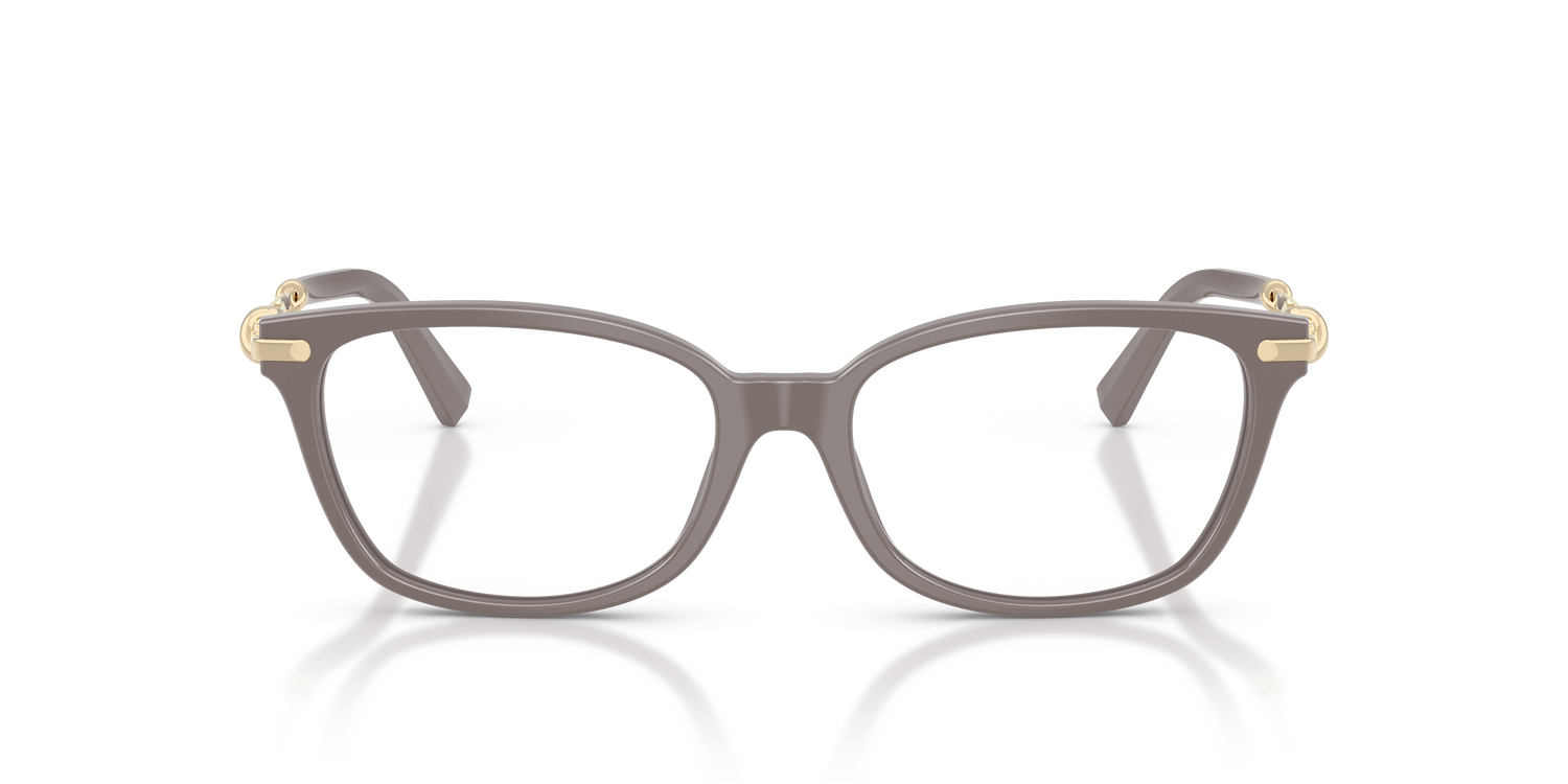 TIFFANY TF2281 8401 53