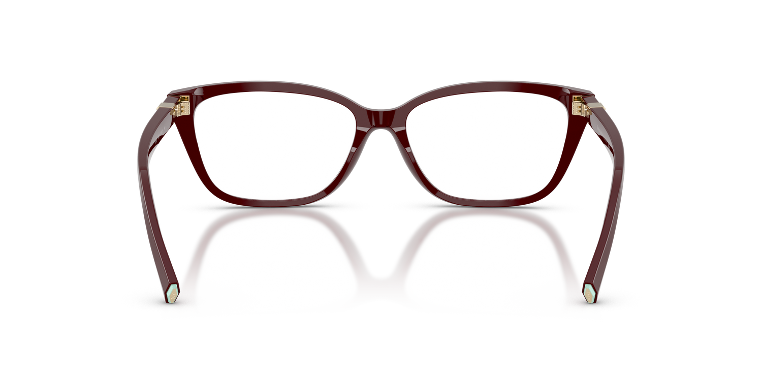 TIFFANY TF2282 8389 55