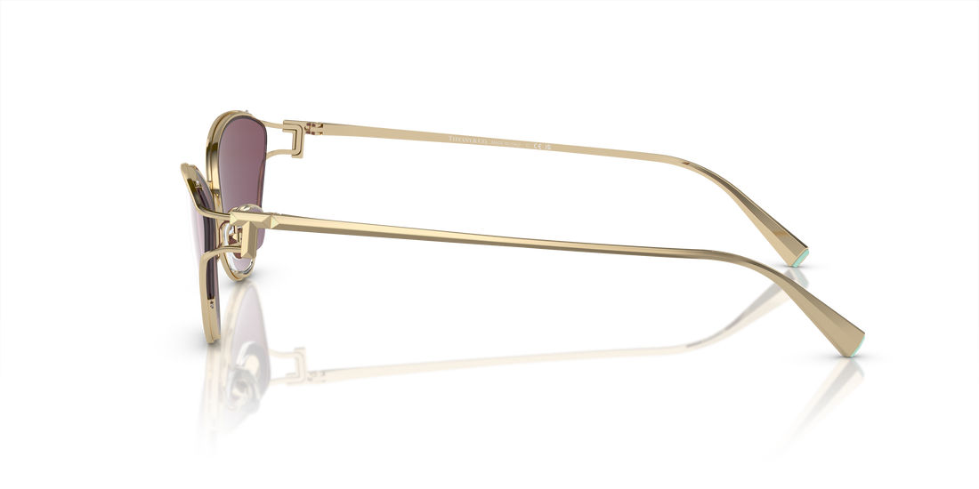 TIFFANY TF3095 6194AK 61