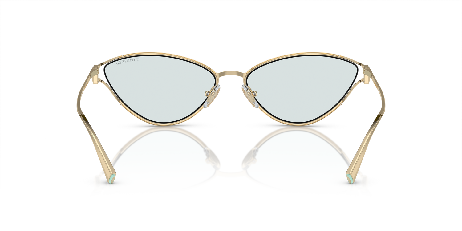 TIFFANY TF3095 6196MF 61