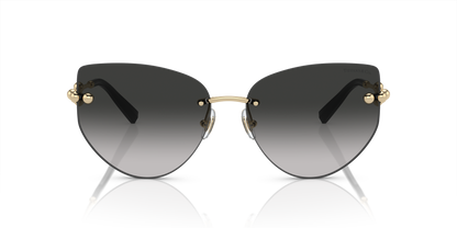 TIFFANY TF3096 60213C 60