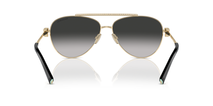 TIFFANY TF3101B 60213C 59