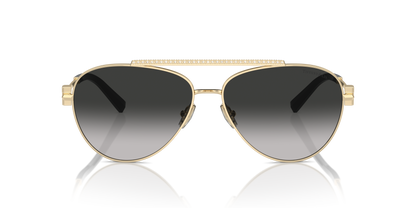 TIFFANY TF3101B 60213C 59