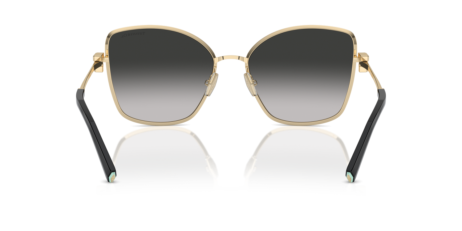 TIFFANY TF3102B 60213C 58